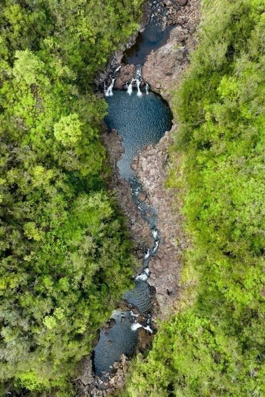 Kaieie Rd, Papaikou, HI 96781 - photo 16