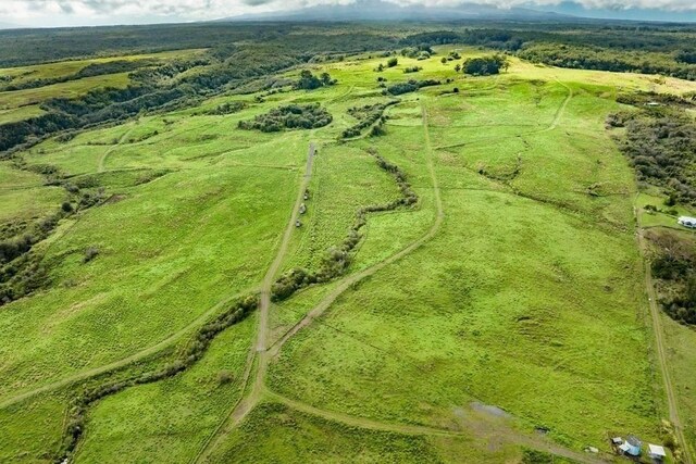 Kaieie Rd, Papaikou, HI 96781 - photo 17