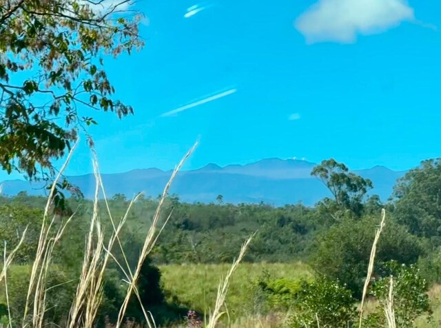 Kaieie Rd, Papaikou, HI 96781 - photo 20