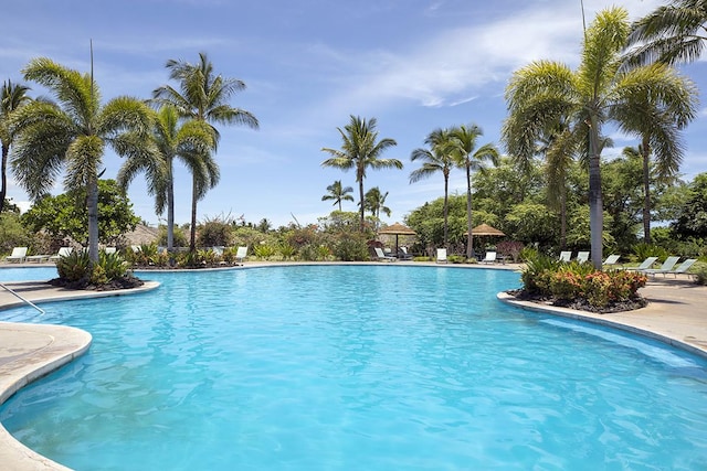 68-1118 Kaniku Dr Unit 404, Kamuela, HI 96743 - view of community pool