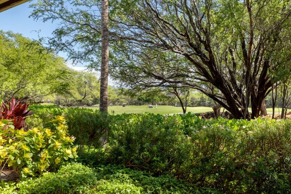 68-1118 Kaniku Dr Unit 404, Kamuela, HI 96743 - view of yard