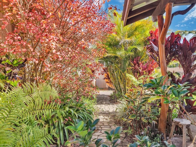 64-721 Keaka Kea Pl, Kamuela, HI 96743 - view of yard