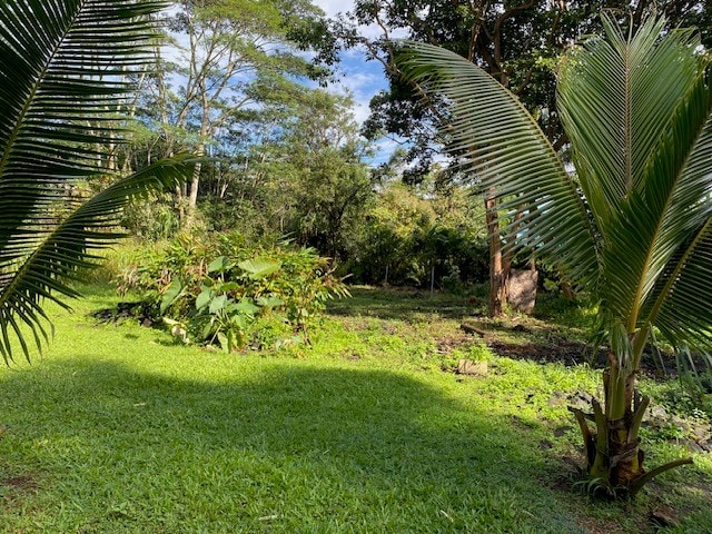 15-1949 11th Ave, Keaau, HI 96749 - view of green lawn
