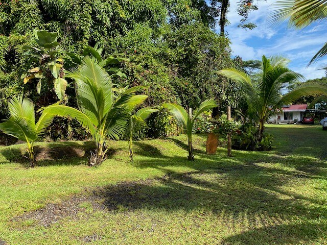 15-1949 11th Ave, Keaau, HI 96749 - view of grassy yard