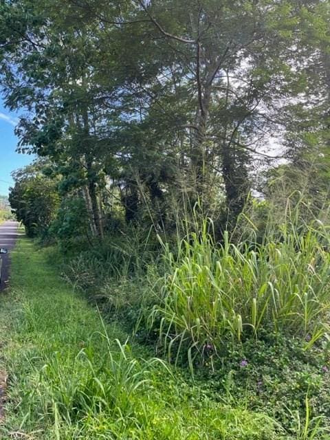 S Kumu St, Pahoa, HI 96778