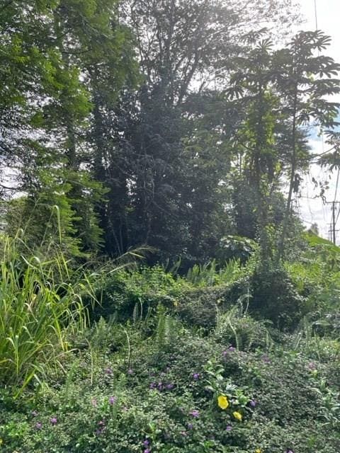 S Kumu St, Pahoa, HI 96778