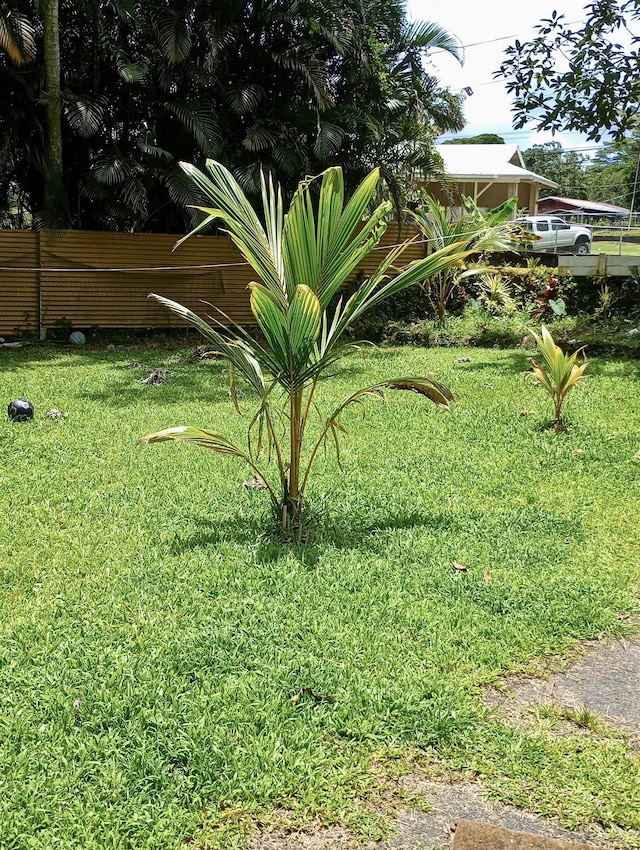 14-810 Cholet Cir, Pahoa, HI 96778 - view of yard