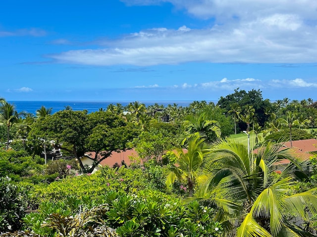 78-7039 Kamehameha Iii Rd Unit 25, Kailua-Kona, HI 96740 - view of undeveloped land with a nearby body of water