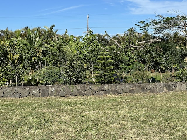 54-2537 Kynnersley Rd, Kapaau, HI 96755 - photo 3