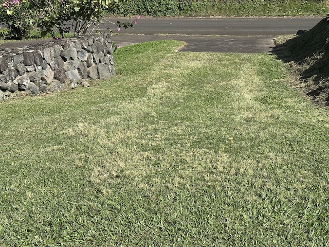 54-2537 Kynnersley Rd, Kapaau, HI 96755 - photo 13