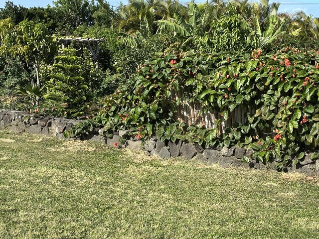 54-2537 Kynnersley Rd, Kapaau, HI 96755 - photo 10