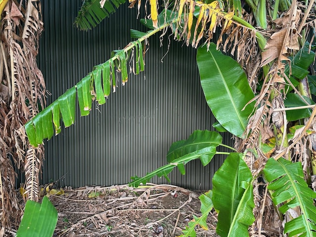 54-2537 Kynnersley Rd, Kapaau, HI 96755 - photo 11