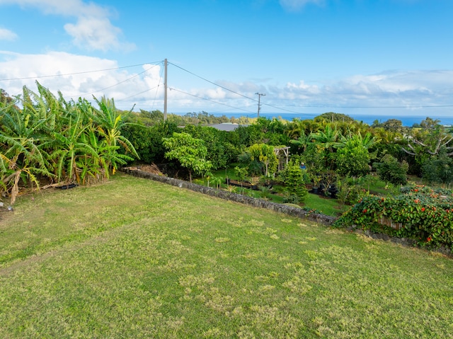 54-2537 Kynnersley Rd, Kapaau, HI 96755 - photo 17