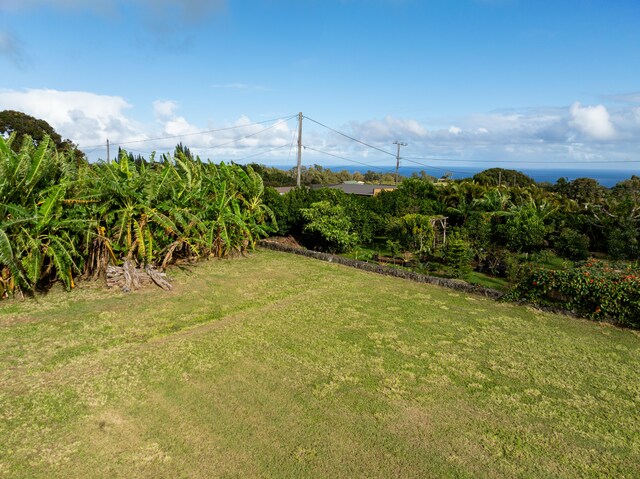 54-2537 Kynnersley Rd, Kapaau, HI 96755 - photo 8