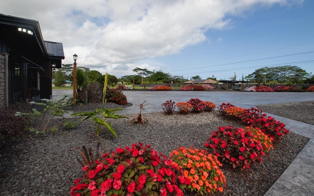 15-1462 13th Ave, Keaau, HI 96749 - view of yard with a water view