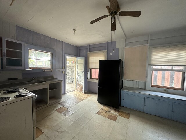 55 Omao St, Hilo, HI 96720 - photo 6