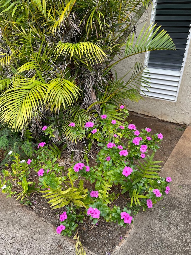 4461 Kamoa Rd Unit D12, Kapaa, HI 96746 - exterior view