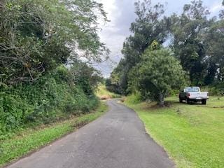 36-2642 Old Mamalahoa Hwy, Ookala, HI 96774 - view of street
