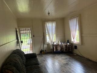 36-2642 Old Mamalahoa Hwy, Ookala, HI 96774 - living room featuring plenty of natural light and wood finished floors