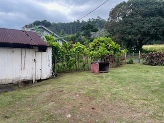 36-2642 Old Mamalahoa Hwy, Ookala, HI 96774 - view of yard