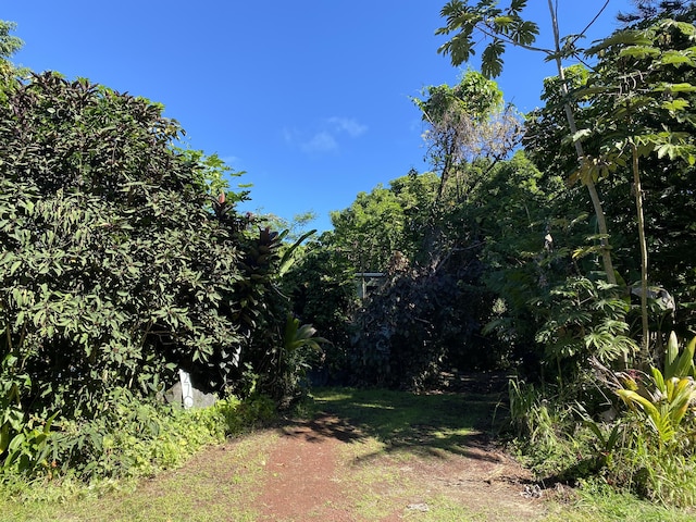 12-270 Pohakupele Loop, Pahoa, HI 96778 - view of yard