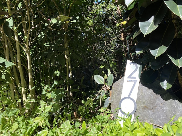 12-270 Pohakupele Loop, Pahoa, HI 96778 - exterior view