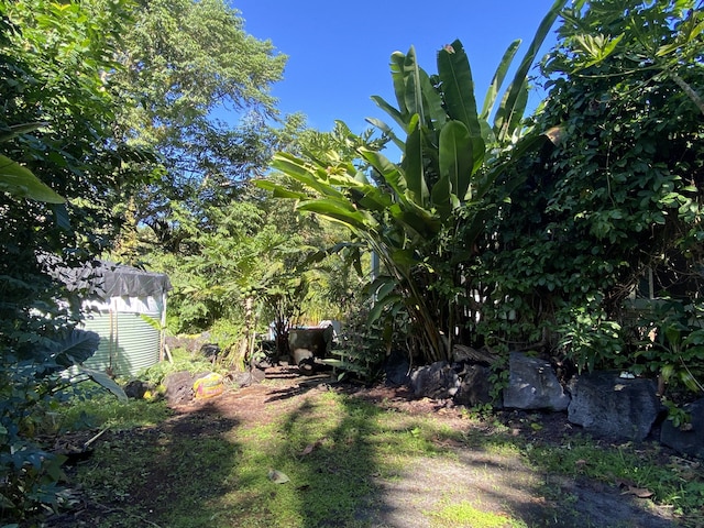 12-270 Pohakupele Loop, Pahoa, HI 96778 - view of yard