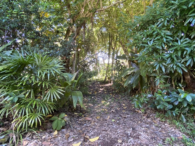 12-270 Pohakupele Loop, Pahoa, HI 96778 - view of local wilderness