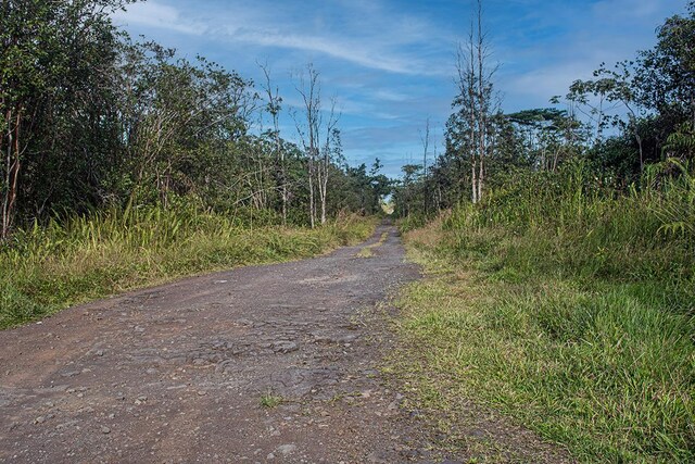 Kehaulani St, Keaau, HI 96749 - photo 8