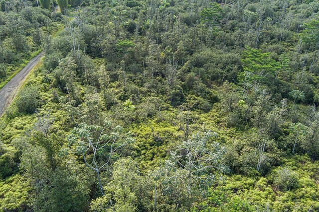 Kehaulani St, Keaau, HI 96749 - photo 16