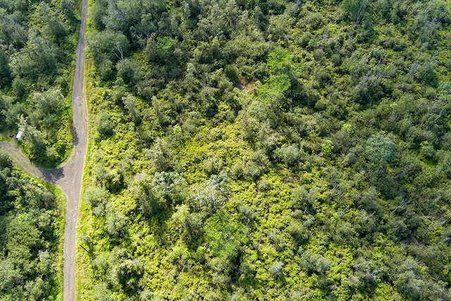 Kehaulani St, Keaau, HI 96749 - photo 5