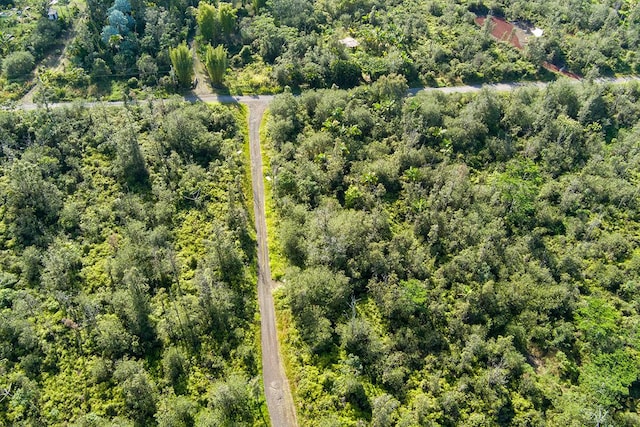 Kehaulani St, Keaau, HI 96749 - photo 2
