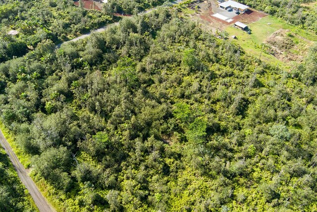 Kehaulani St, Keaau, HI 96749 - photo 18