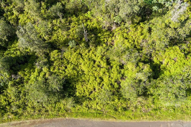 Kehaulani St, Keaau, HI 96749 - photo 19