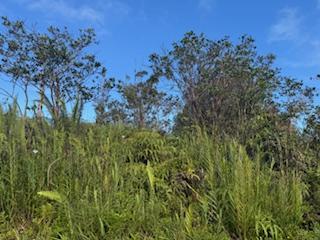 Kehaulani St, Keaau, HI 96749 - photo 12