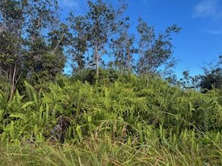 Kehaulani St, Keaau, HI 96749 - photo 13
