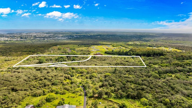 Ainalako Rd, Hilo, HI 96720 - photo 2