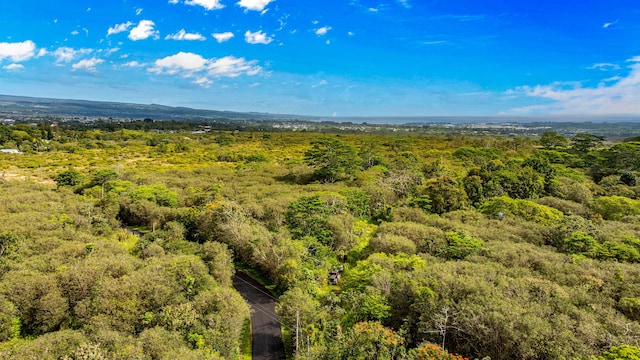 Ainalako Rd, Hilo, HI 96720 - photo 5