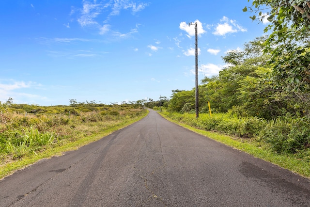 Ainalako Rd, Hilo, HI 96720 - photo 4