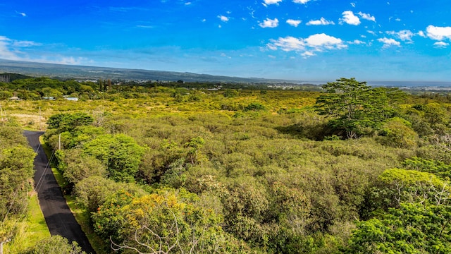 Ainalako Rd, Hilo, HI 96720 - photo 6