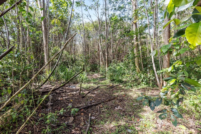 Ainalako Rd, Hilo, HI 96720 - photo 10