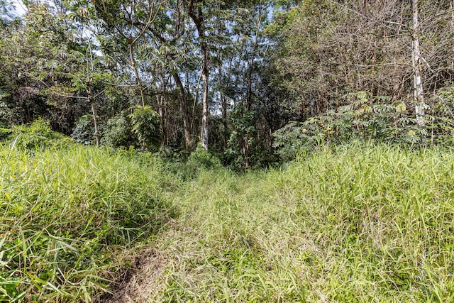 Ainalako Rd, Hilo, HI 96720 - photo 11