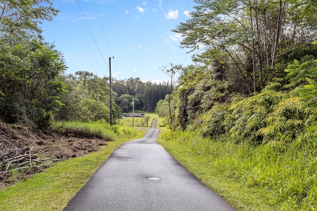 Ainalako Rd, Hilo, HI 96720 - photo 12