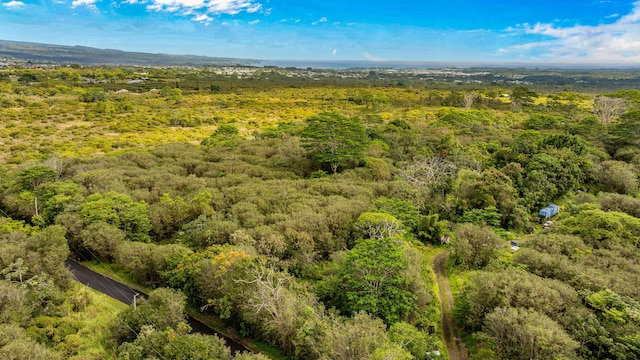 Ainalako Rd, Hilo, HI 96720 - photo 17