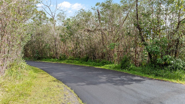 Ainalako Rd, Hilo, HI 96720 - photo 9