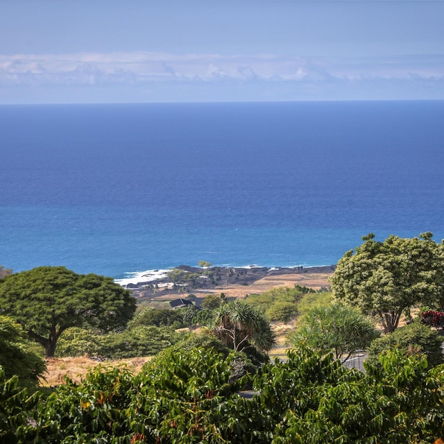 81-6641 Auamo Pl, Kealakekua, HI 96750 - water view