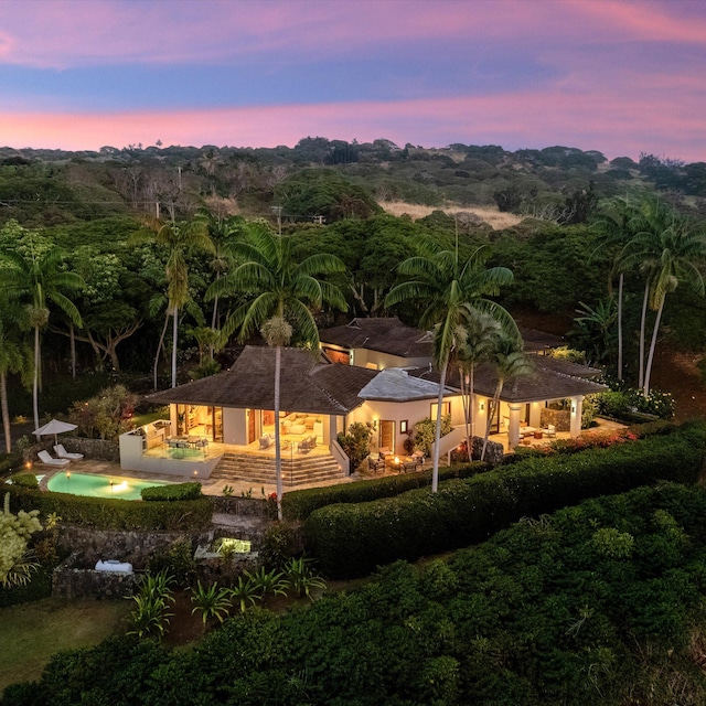 81-6641 Auamo Pl, Kealakekua, HI 96750 - back of house featuring a forest view, stucco siding, a patio, and an outdoor pool