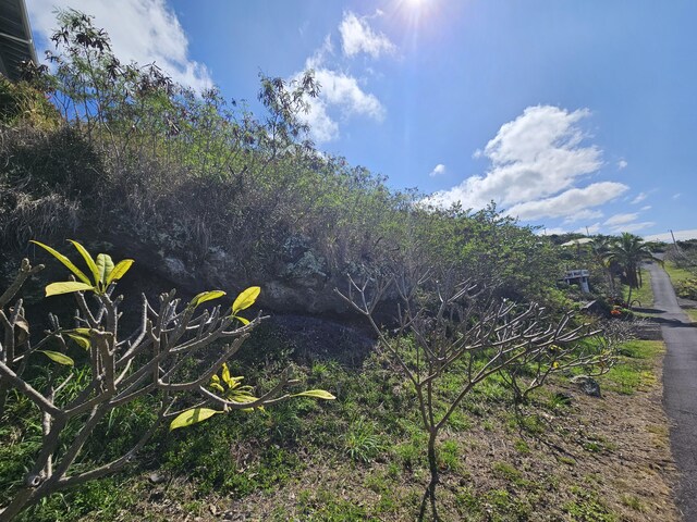 Fern Rd, Captain Cook, HI 96704