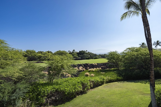 68-1375 Pauoa Rd Unit J2, Kamuela, HI 96743 - view of grassy yard