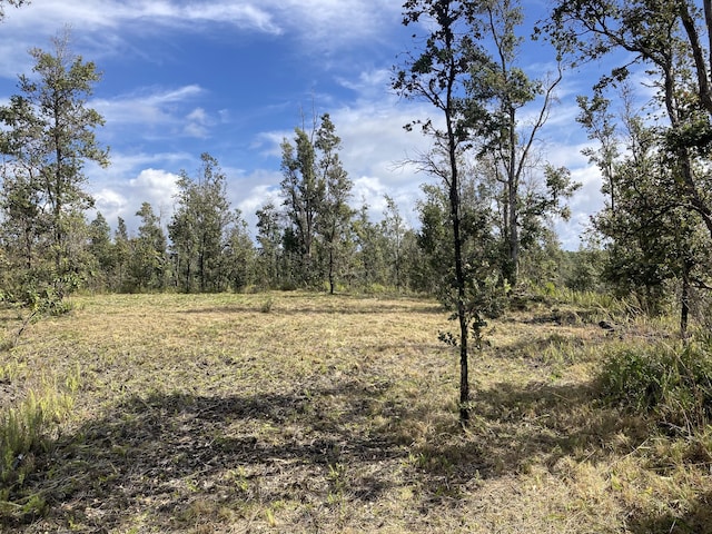 13-1037 Kamaili Rd, Pahoa, HI 96778 - photo 4